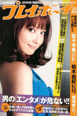 新金梅瓶1至5集完整版