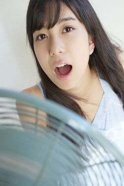 2010西游记动画版