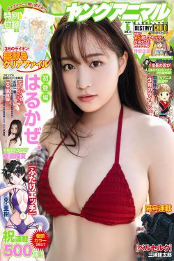 破案电视剧排行榜